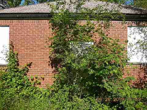 10017 Mansfield (7)_m.jpg